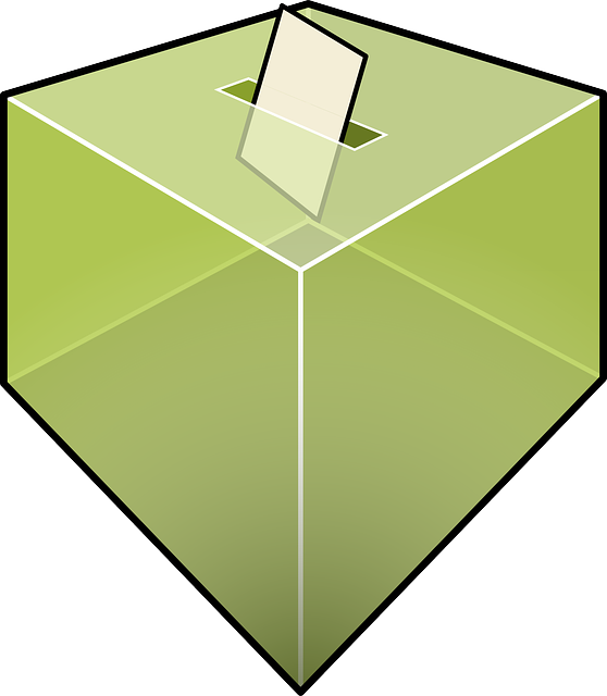 ballot-158828_640